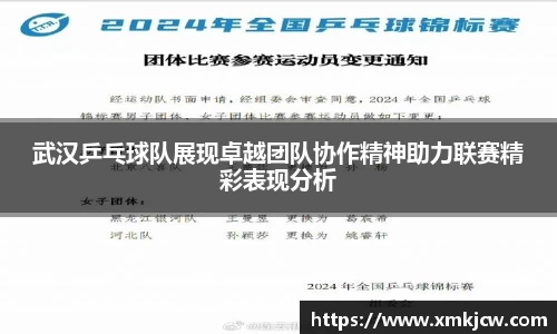 武汉乒乓球队展现卓越团队协作精神助力联赛精彩表现分析